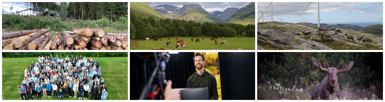 Landbruksdirektoratet