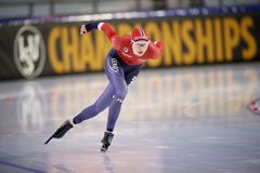 Fri bruk for pressen. Foto Rafal Oleksiewicz