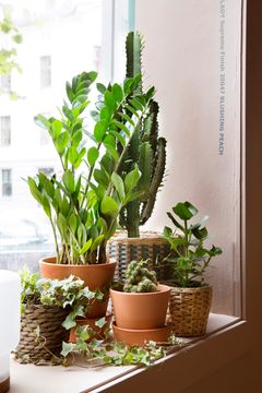 Foto: Inger Marie Grini