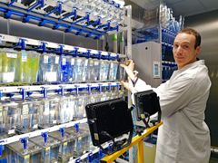 Forsker Romain Fontaine i laboratoriet hvor forskerne lyssetter fisketanker med de samme lysnivåene de har funnet ute. Foto: Kristine W. Tranås/NMBU