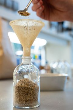 En ny runde med supergjødsel fremstilles på laboratoriet, før den skal testes i felt. Foto: Tonje Halvorsen Walde.