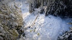 Agder Energi Nett minner om at det er viktig å holde god avstand dersom en oppdager strømlinjer som har falt på bakken, lavthengende linjer og trær som har falt ned på linjene. Berøring kan medføre livsfare. Meld fra om slike situasjoner til kundesenteret på telefon 38 60 72 72.