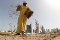 En migrantarbeider sprer tørt gress på bakken i Qatar. Foto ILO/Apex News.