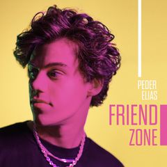 Friend Zone artwork