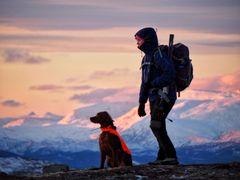 Hund og jeger i Rana Foto: Magnus Beyer Brattli