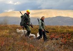 Rypejakt er en av de mest populære jaktformene. Miljødirektoratet foreslår ikke endringer for de sentrale jakttidene for rype. Foto: Wenche Offerdal