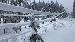 Lavthengende kraftlinje i Nittedal. Foto: Elvia
