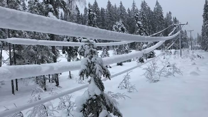 Lavthengende kraftlinje i Nittedal. Foto: Elvia