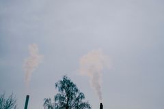 Karbonfangst er definert som en av de viktigste tingene vi må gjøre for å kunne nå globale klimamål. Foto: COWI