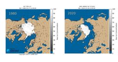 Her ser du hvordan isutbredelsen har sunket de siste 40 årene. Vi har aldri målt mindre is i oktober noen gang før. Illustrasjon: Meteorologisk institutt / EUMETSAT