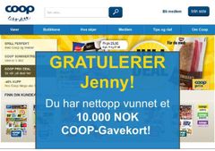 Eksempel på falsk konkurranse