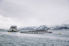SATSER: Stadig flere oppdrettsanlegg tar i bruk batteripakker for å redusere utslippene fra forflåtene. Foto: Marius Fiskum / Norges Sjømatråd