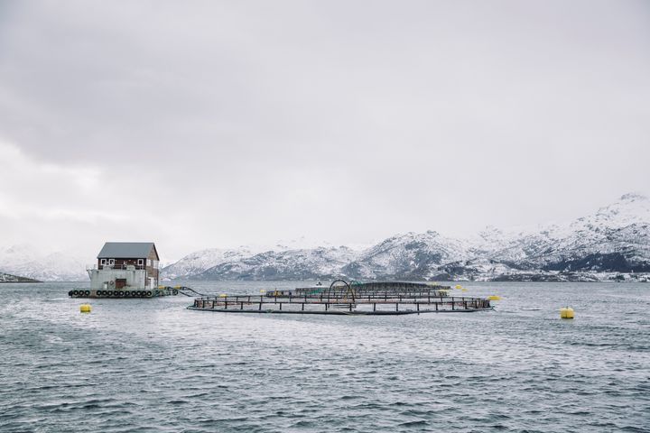 SATSER: Stadig flere oppdrettsanlegg tar i bruk batteripakker for å redusere utslippene fra forflåtene. Foto: Marius Fiskum / Norges Sjømatråd