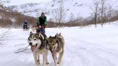 Lyngsfjord Adventure vant Reiselivsprisen 2015. Foto: Sweet films