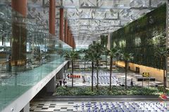 Terminal 3- Plantevegg og bagasjebåndet