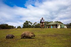 Wildlife Journeys gir deg opplevelser du aldri vil glemme. Fotokreditering: Maria Island Walk/Great Walks of Australia