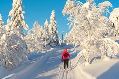 VINTERFERIE: Mange skal snart reise på vinterferie og på reise i Norge frykter vi aller mest å bli syke. I en undersøkelse fra Norstat oppgir 62 prosent at å bli syk på reisen er blant de tre hendelsene de frykter mest. Foto: iStock