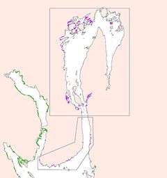 Prioriterte ålegrasenger i Oslofjorden. Lilla ålegrasenger i indre og midtre del er kartlagt i 2020. Ålegrasenger i grønt skal kartlegges senere. Kart: Niva.