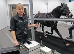 Ved NMBU Veterinærhøgskolen Dyresykehuset – hest gjennomfører de ukentlig luftveistester på travhester. – Veterinærene får veldig gode svar til både forskning og i den kliniske hverdagen, sier Zoe Fretheim-Kelly. (FOTO: Kristine W. Tranås/NMBU)