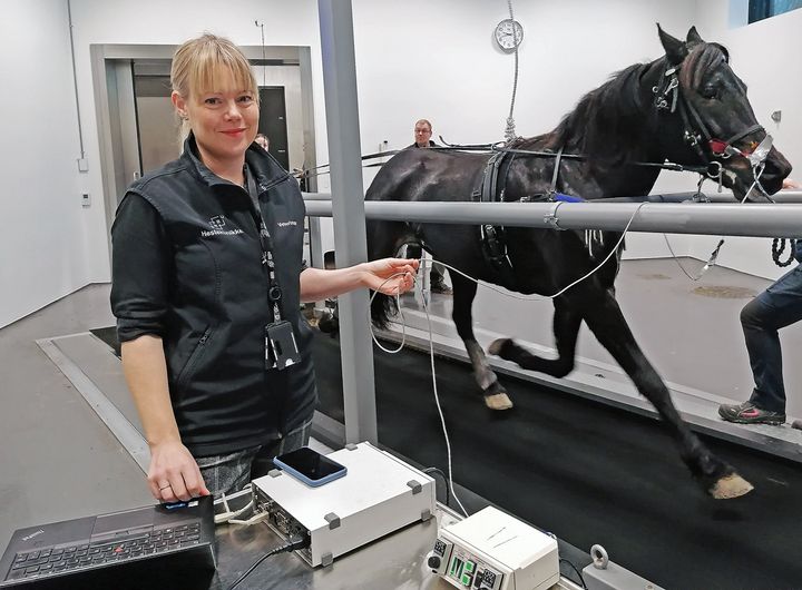 Ved NMBU Veterinærhøgskolen Dyresykehuset – hest gjennomfører de ukentlig luftveistester på travhester. – Veterinærene får veldig gode svar til både forskning og i den kliniske hverdagen, sier Zoe Fretheim-Kelly. (FOTO: Kristine W. Tranås/NMBU)