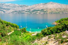 Brac