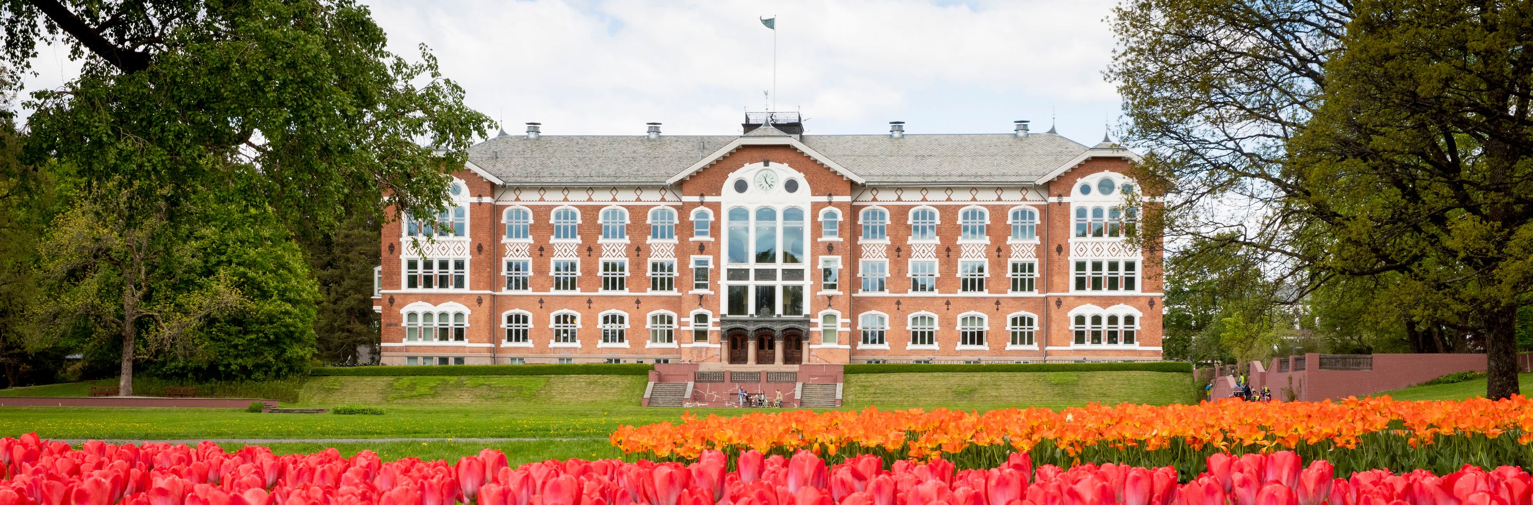 Norges miljø- og biovitenskapelige universitet (NMBU)