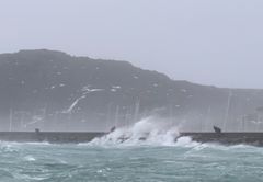 Både privat eiendom og bedrifter ble rammet av til dels store skader da stormen herjet i Nord-Norge sist helg. Bildet er fra Bodø lørdag. (Foto: If)