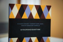 Forfattarane bak den nye læreboka Nynorskdidaktikk meiner boka vil passe inn i lærarutdanningane i heile Noreg. Foto: Lene Mo Flataker.