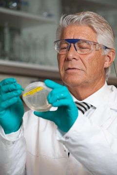 Hans Kristian Kotlar var med på å samle inn bakterieprøver fra oljefelt over hele verden. I laboratoriet ble de mest lovende typene identifisert – nå blir samlingen brukt til å lage fornybar energi. Foto: Equinor