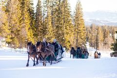 Sledene ankommer Skistua.