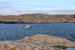 Miljødirektoratet overvåker kysten i Ytre Hvaler for å se om havnespy har spredt seg fra Koster-øyene, som ligger rett over grensa til Sverige. Foto: Pernille Stensli/ Miljødirektoratet.
