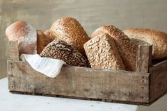 Norske brød vil i denne sesongen innehalde over 70 prosent norsk korn. (Foto: Nadin Martinuzzi/Opplysningskontoret for brød og korn