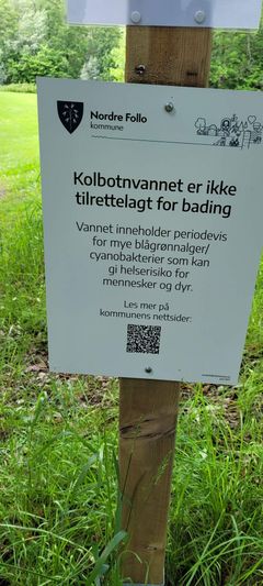 Ved Kolbotnvannet i Nordre Follo anbefaler kommunen å ikke bade på grunn av oppblomstring av cyanobakterier.