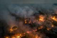 Ødeleggelsene i Amazonas sto alene for en betydelig nedgang i klodens biokapasitet i fjor. Foto: Andre Dib / WWF-Brazil