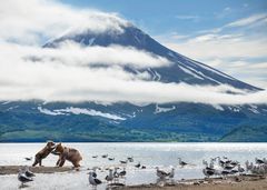 VÅR PERFEKTE PLANET: Uforutsigbare og utenfor vår kontroll, men også avgjørende for vår eksistens. Vulkaner er grunnlag for liv og vekst.

FOTO: TOBY NOWLAN / BBC