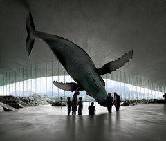 Første møtet: Den første delen av utstillingen er spektakulær og stemningsfull. For mange mennesker er det første møtet med en hval en sterk opplevelse. Her er det nettopp dette møtet, og en opplevelse av hva vi faktisk har til felles med hvalene, som står i sentrum. lllustrasjon: MIR, Bergen.