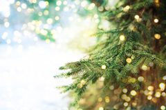 Det er mye å tenke på for de som vil ha en miljøvennlig jul. Skal man for eksempel velge plast eller naturlig juletre? Foto: Shutterstock