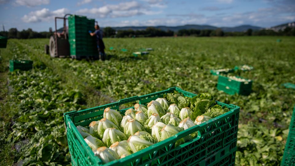 1-450-millioner-kroner-p-konto-til-norske-b-nder-landbruks-og