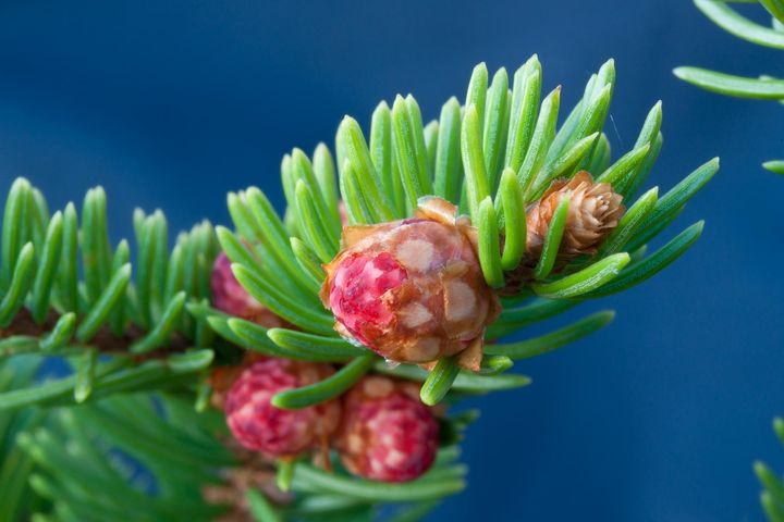 Foto: Steinar Johansen
