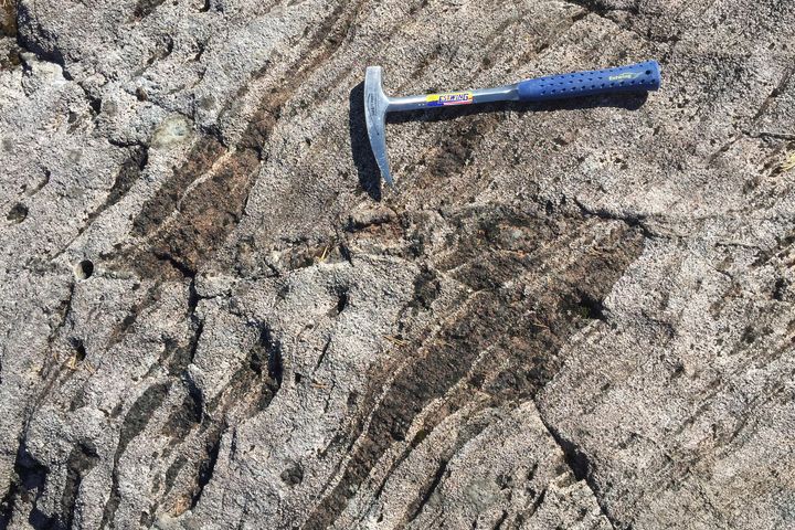 De mørke stripene viser at bergartene har flyttet seg 20–30 centimeter under ett jordskjelv for cirka 430 millioner år siden. Bildet er tatt på Holsnøy nord for Bergen. Foto: Bjørn Jamtveit/UiO