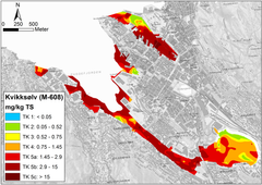 Mengdene kvikksølv målt i Puddefjorden før rengjøringen.Illustrasjon: COWI