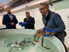 Fiskeri- og sjømatminister Odd Emil Ingebrigtsen i Bugøynes sammen med Norway King Crab-sjef Svein Ruud og forskningssjef Roman Vasilyev.