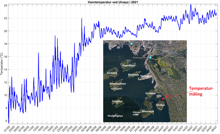 I kurvene over er temperaturen i overflaten vist fra 1. mai til 10. juli. Dataene er hentet fra NIVAs målestasjon i Paddehavet ved Ulvøya i Indre Oslofjord. Kartet viser plasseringen av målestasjonen med en rød prikk.