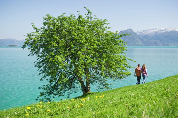 Hardanger.
Foto: CH - Visitnorway.com
