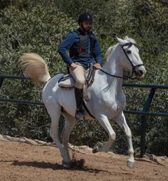 Marco Elsafadi er programleder i fredagsserien "Det store spranget" på NRK1.