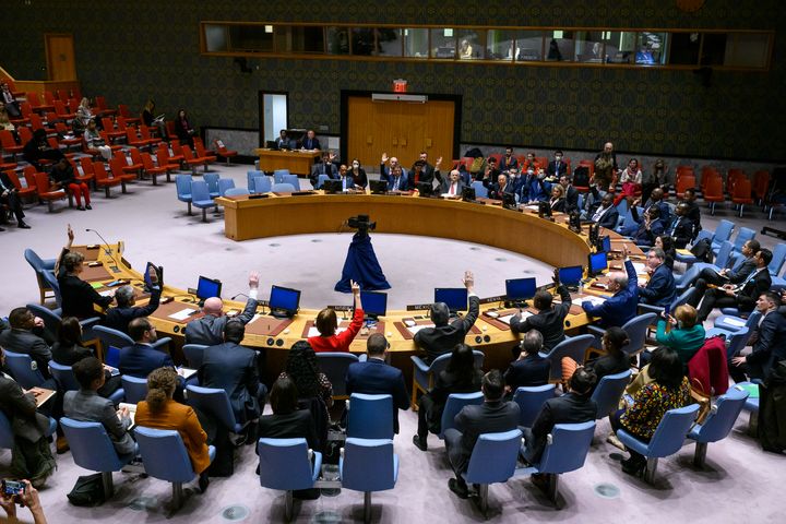I slutten av desember stemte medlemmene av FNs sikkerhetsråd enstemmig gjennom en resolusjon for å fremme mental helse for fredsbevarere. Det er tvilsomt at reform av Rådet blir like lett. Foto: UN Photo/Manuel Elías.