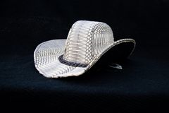 Denne cowboyhatten ble beslaglagt av tollere på Gardermoen, fordi den er laget av skinn fra asiatisk kobraslange. Arten er sårbar, og det er krav om tillatelse fra Miljødirektoratet for innførsel til Norge, noe som manglet i dette tilfellet. Foto: Aase Marie Lund Evensen.