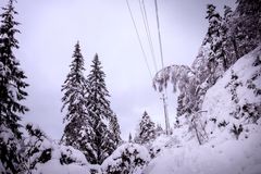 Bildene viser 22 kV linja ved Røyknes i Vennesla kommune i Vest-Agder..