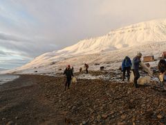 Tur med mening til Hiorthamn. Fotograf: Aktiv i Friluft Svalbard.