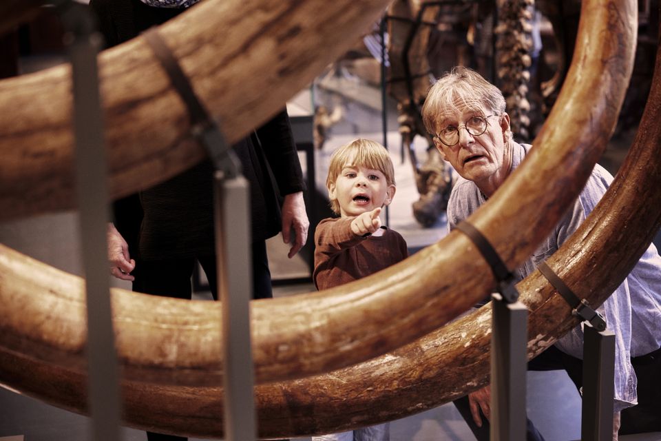 Geologiske utstillinger
